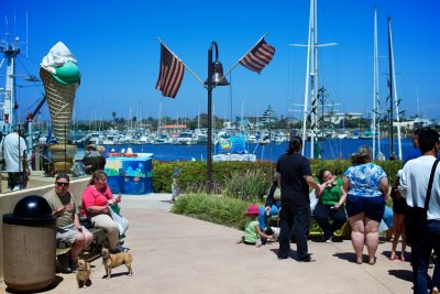 Scene from the harbor