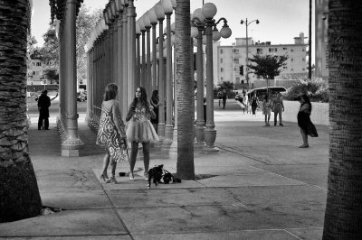 L.A. Museums Row