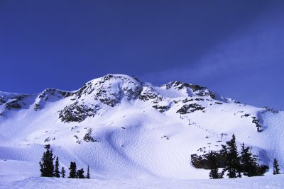 IMG_8144 web.jpg