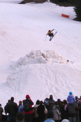 IMG_8262 web.jpg