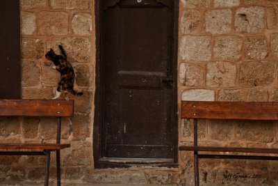 Akko 078.jpg
