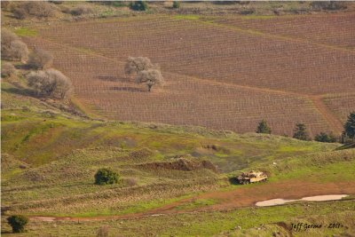 Mt. Bental - Golan Heights 040.jpg