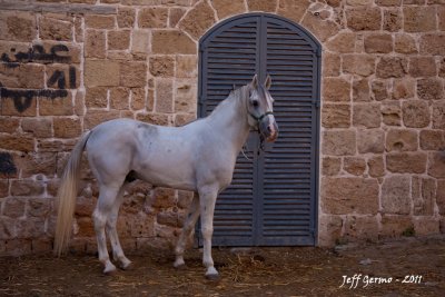 Akko 040.jpg