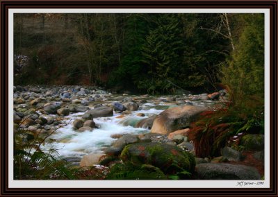 lynn-canyon-framed.jpg
