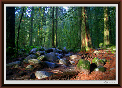 Lynn Canyon Path