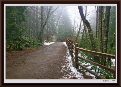 Lynn Canyon Mist