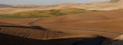 Pano_Palouse1_1.jpg