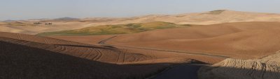 Pano_Palouse2_1.jpg