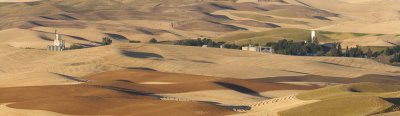 Pano_Palouse3_1.jpg