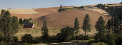 Pano_Palouse4_1.jpg