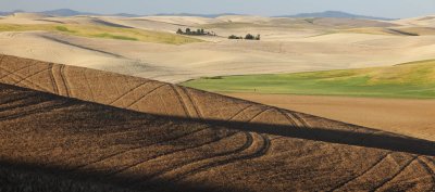 Pano_Palouse5_1.jpg