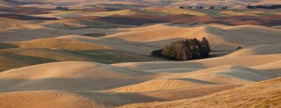 Pano_Palouse_1.jpg