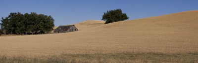 Pano_barn_1.jpg