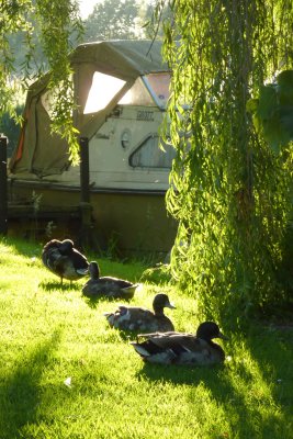 Whitington, Norfolk