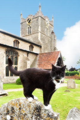 Bures Hamlet Church Cat & Guide