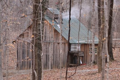 Sugar Shack in the woods