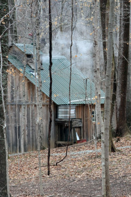 Sugar Shack in the woods