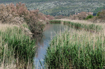 Ulcinjske soline - Ulcinj salt pans