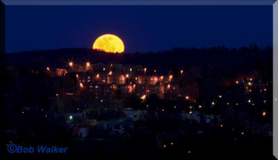 A Record Moon's Debute