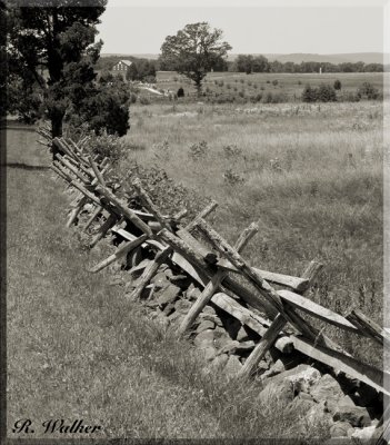 Battlefield Breastwork 
