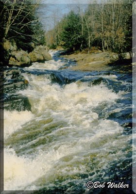 Auger Falls Rapids