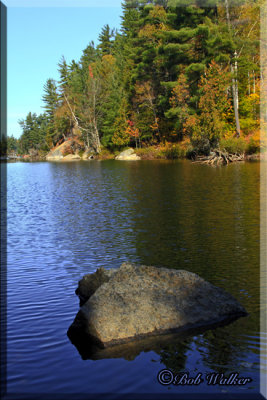 Mountain Pond