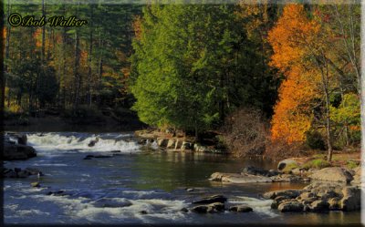 Meandering River