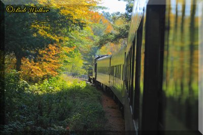 The Adirondack Scenic Railroad Out On The Line