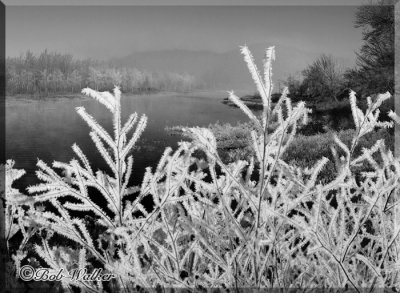 Hoar Frost Number Two