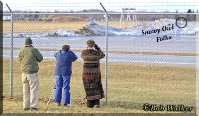 Folks Observing And Enjoying The Snowy Owls At Our Airport