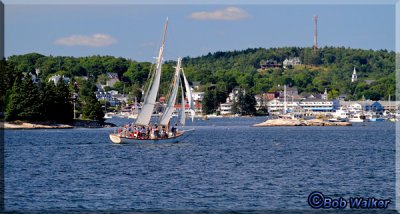 Tourist Enjoy A Ride In A Sailing Schooner Around The Harbor