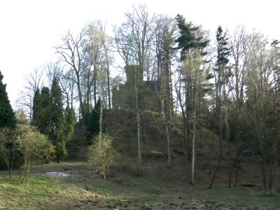 Castle Svojkov...
