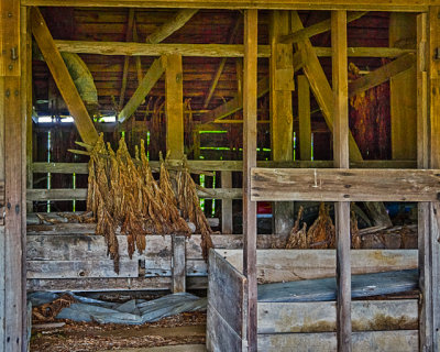 Tobacco Barns of Calvert-32.jpg