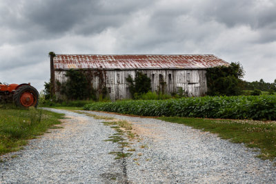 Tobacco Barns of Calvert-36.jpg