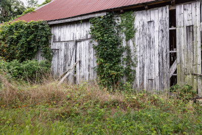 Tobacco Barns of Calvert-39.jpg
