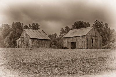 Tobacco Barns of Calvert-83.jpg