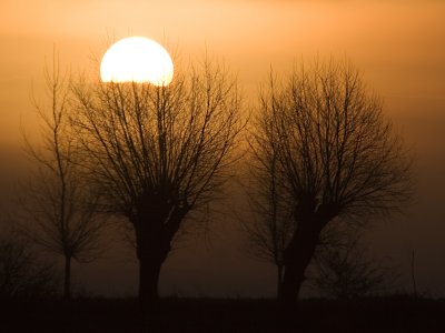 foggy morning