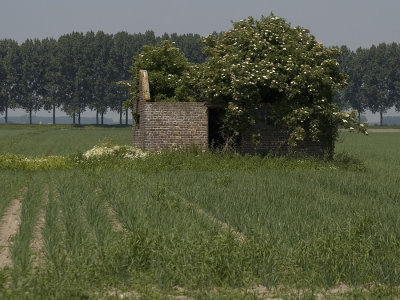 Old small polder cottage