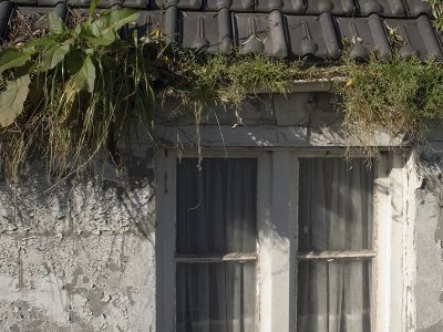 old small polder cottage