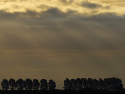 light