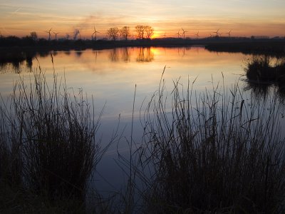Zaamslag (Grroeneweg)