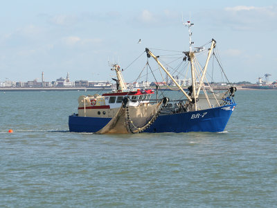 fishing boat (Breskens-7)