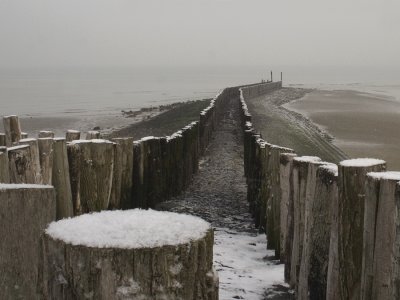 Breskens