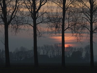 morninglight