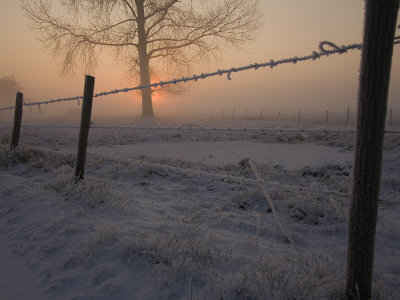 wintermorning