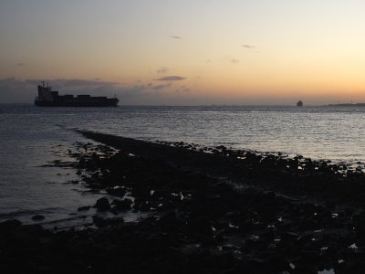 Morninglight