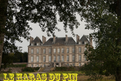GRAND COMPLET - HARAS DU PIN - 2012 -