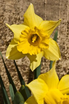 DSC_0070.jpg