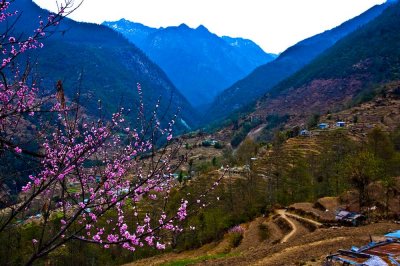 DSC_0092.jpg