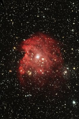 Monkey Head Nebula - NGC 2174
